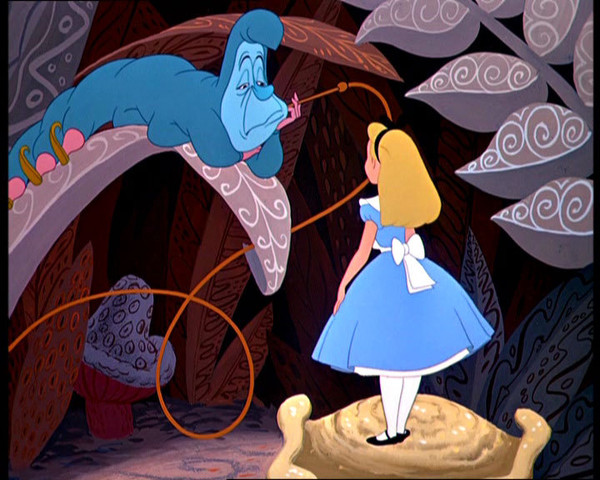 Le délice d'Alice